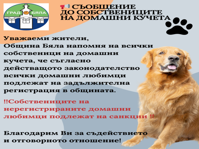 Orange-And-Blue-Modern-Dog-Walking-Instagram-Post-3-.png