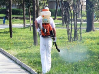 komari-praskane2-600x300.jpg